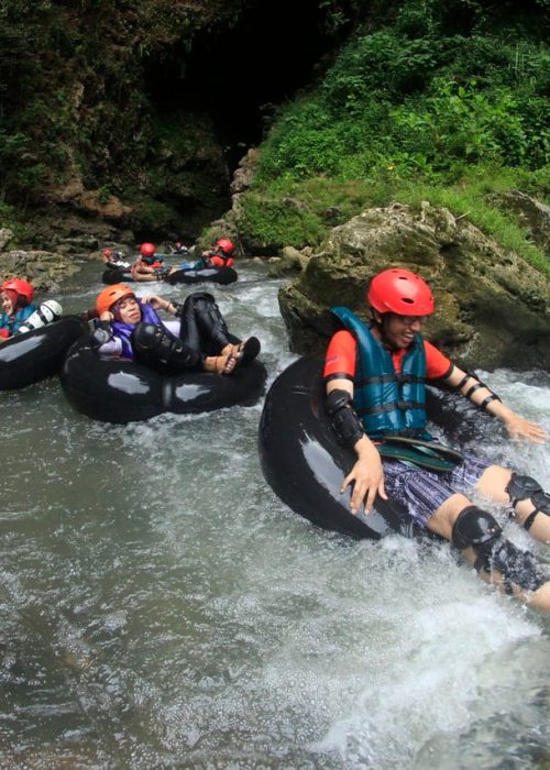 pexels-photo-1305095