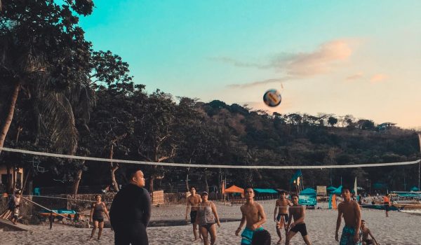 pexels-photo-1320761 pexels-photo-1320761